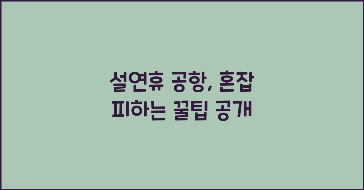 설연휴 공항