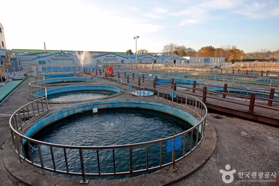 충주 가볼만한곳 베스트 10