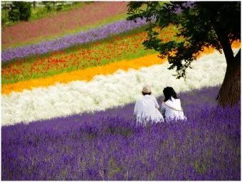 홋카이도 북해도 오타루 자유여행 코스 일정_11