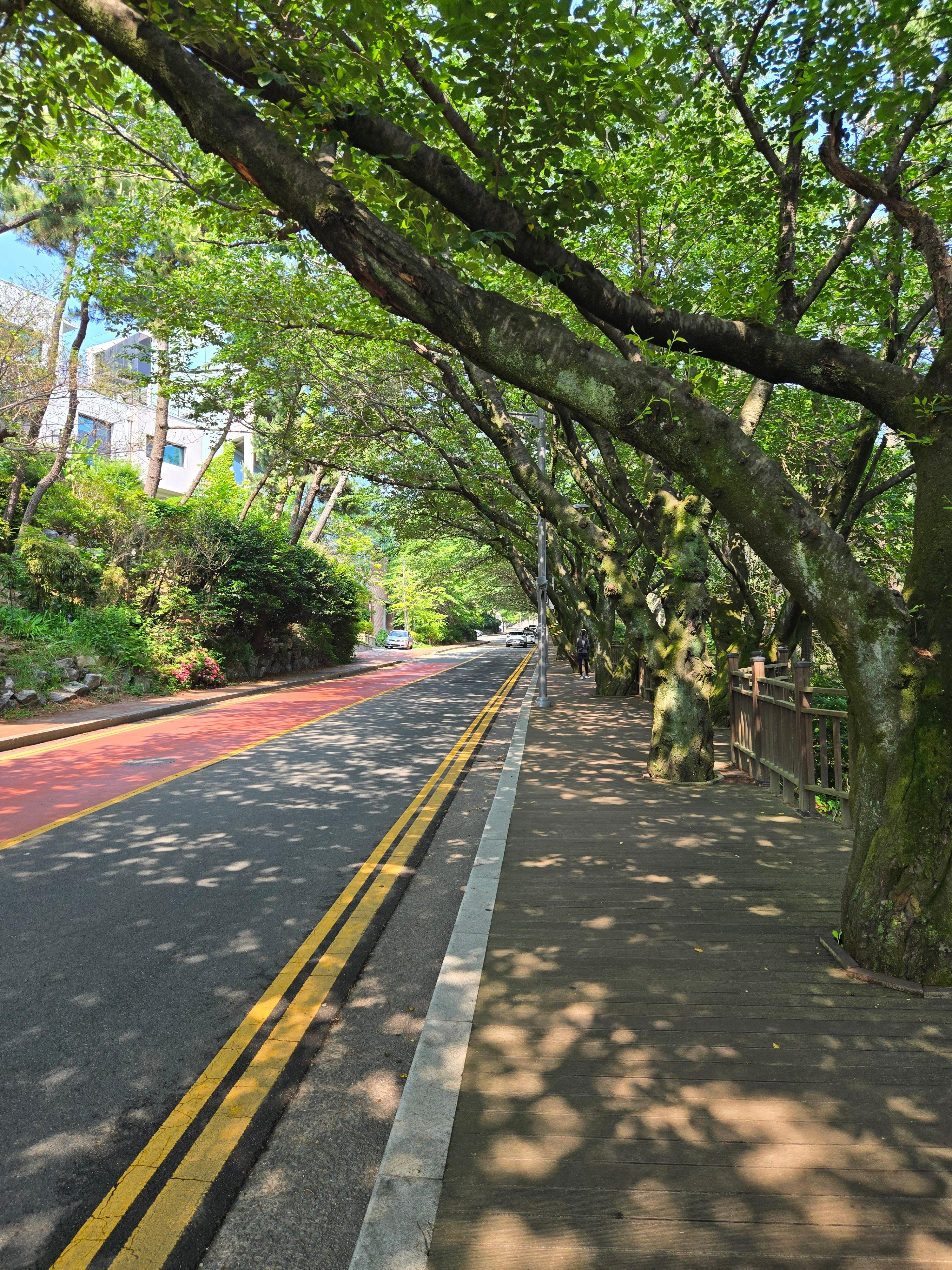 부산 드라이브 명소들