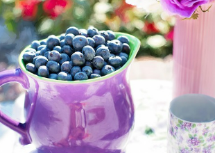 다이어트 간식 추천: 저칼로리 간식으로 다이어트 성공하기