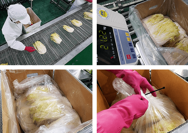 해남 절임배추 20kg 사전예약 가격비교