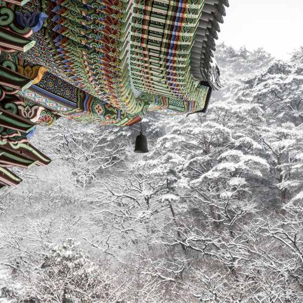 동안거 동안 눈오는 사찰