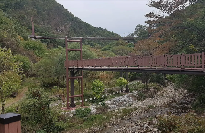 금산 자연휴양림