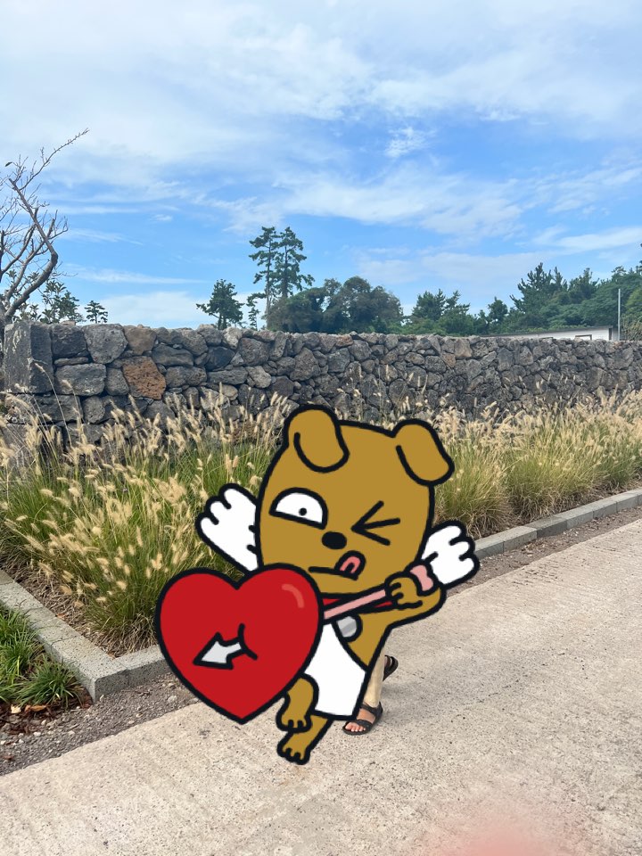 제주도 맛집 여행코스 베이커리 카페 제주 동부 숙소에서 거리까지 제주도 일정 짜기 제주도 10월 날씨 제주도 인생사진 명소 제주 애월 조천 협재 함덕 맛집 제주도 렌터카 제주도 렌트카 제주 렌터카 제주 렌터카