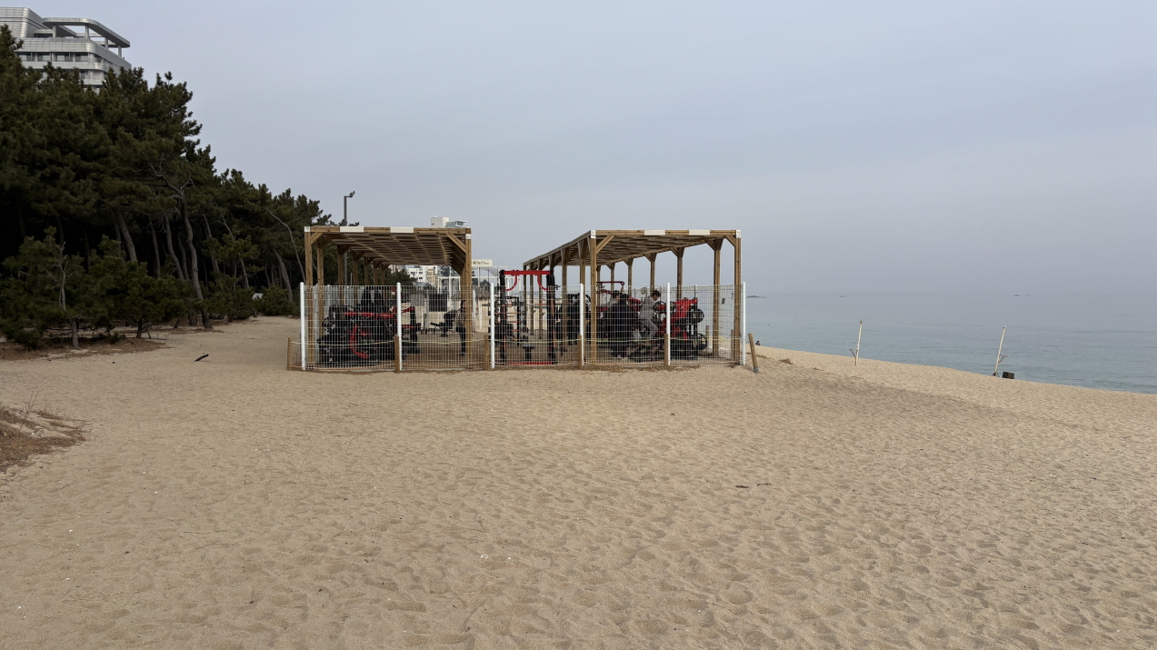  강문해변 머슬비치