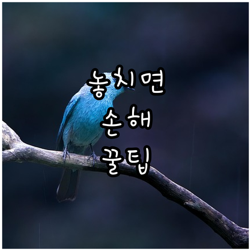 2025 남동구 산모신생아 건강관리 ..