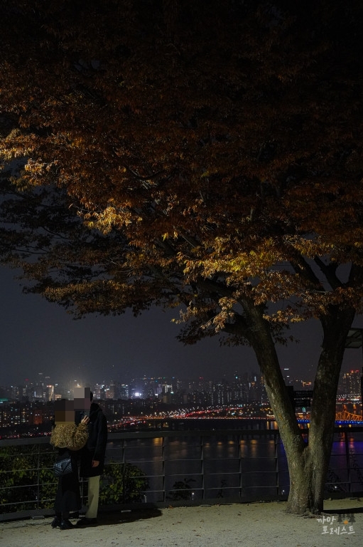 응봉산 연인 데이트