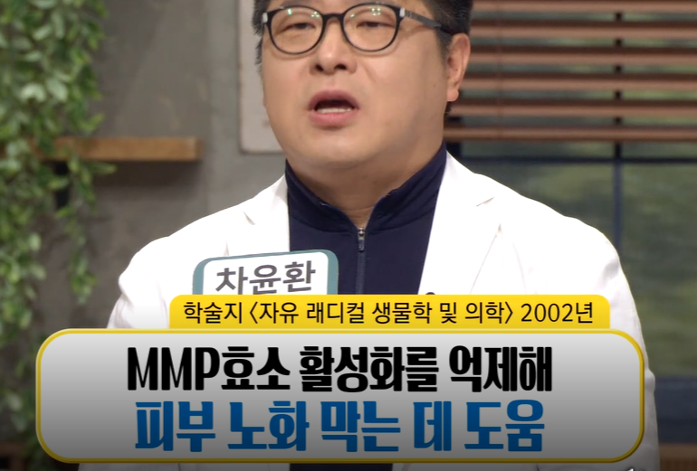로즈마리추출물 효능
