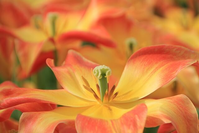 보육교사 2급 자격증 취득방법