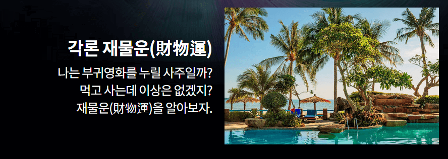 2025년 무료신년운세 (+토정비결,재물운,연애운,취업운 모두 보기)