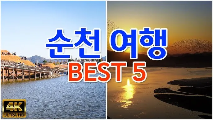 순천 여행코스 추천 순천만습지와 근처 맛집 일정 정리_9