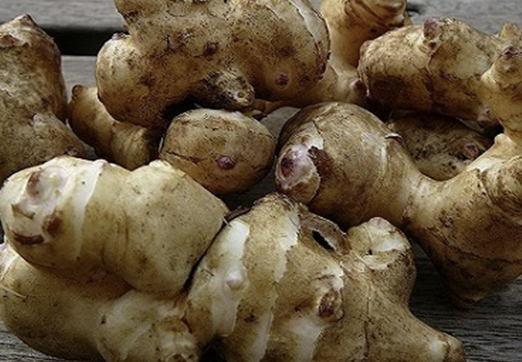 돼지감자 효능 먹는 방법&amp;#44; 수확 시기&amp;#44; 차 만드는 법 확인