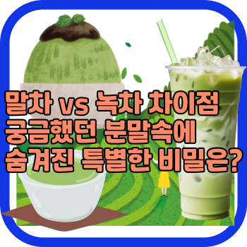 말차 vs 녹차 차이점 궁금했던 분말속에 숨겨진 특별한 비밀은?