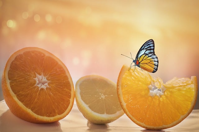 오렌지-효능 1