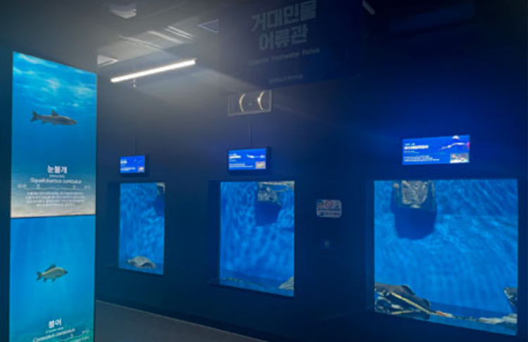 충북 아쿠아리움