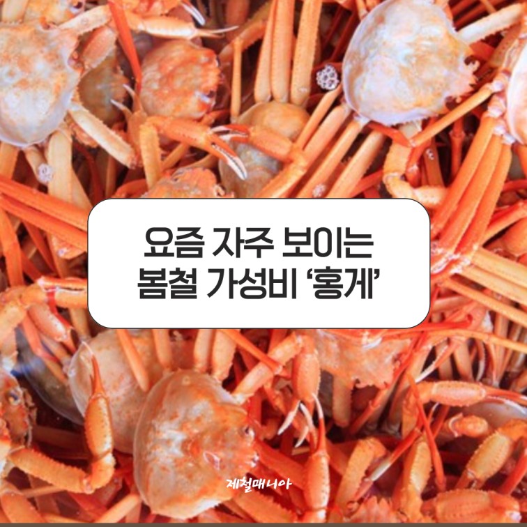 홍게찜