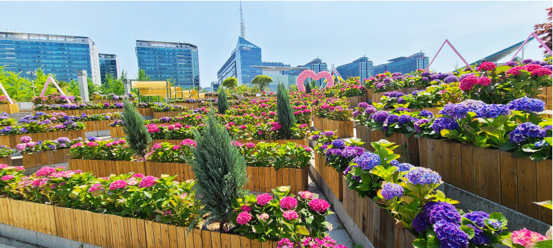 2023.고양 국제꽃박람회.총정리.가는길.입장권.일정.주차장