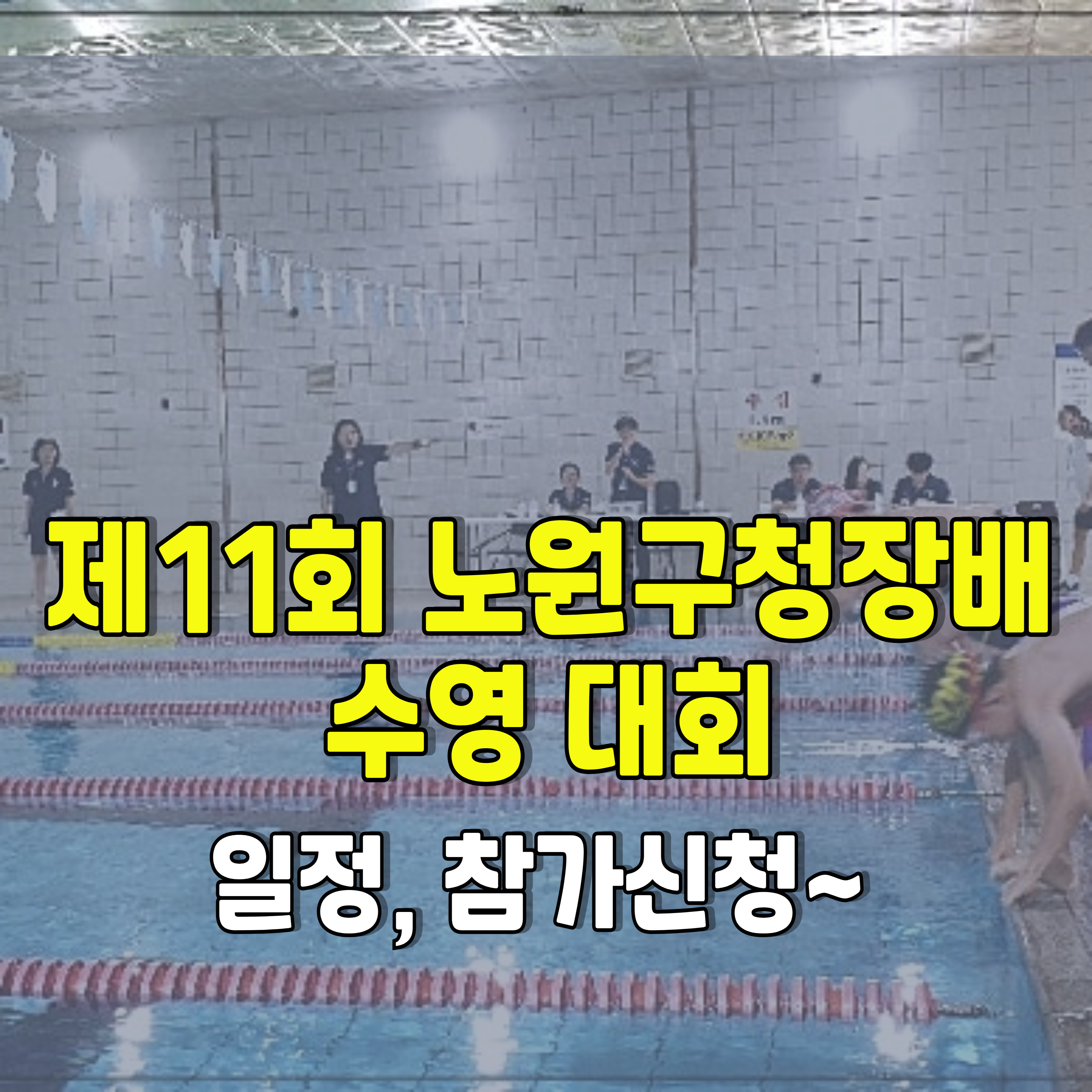 노원구-수영대회-1