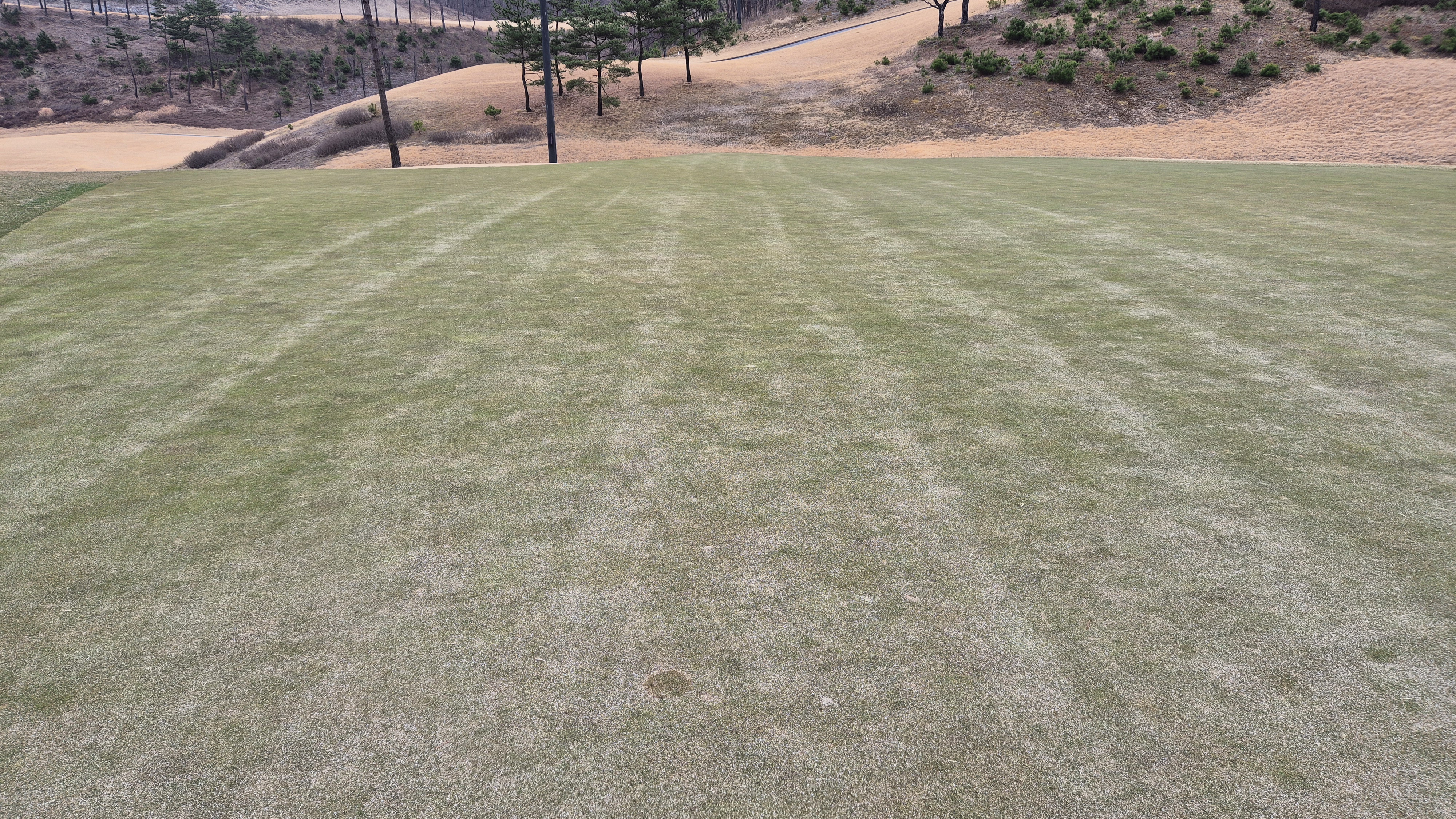 세현cc 그린 관리 상태