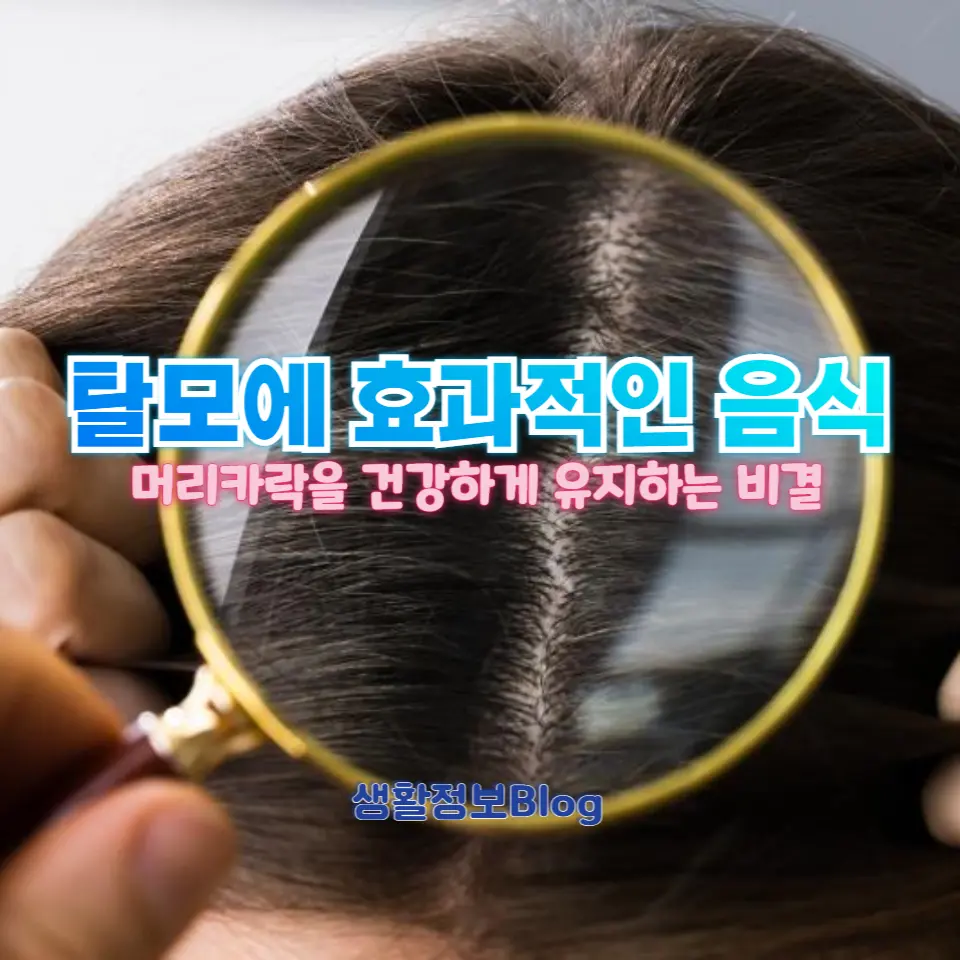 탈모 예방을 위한 음식