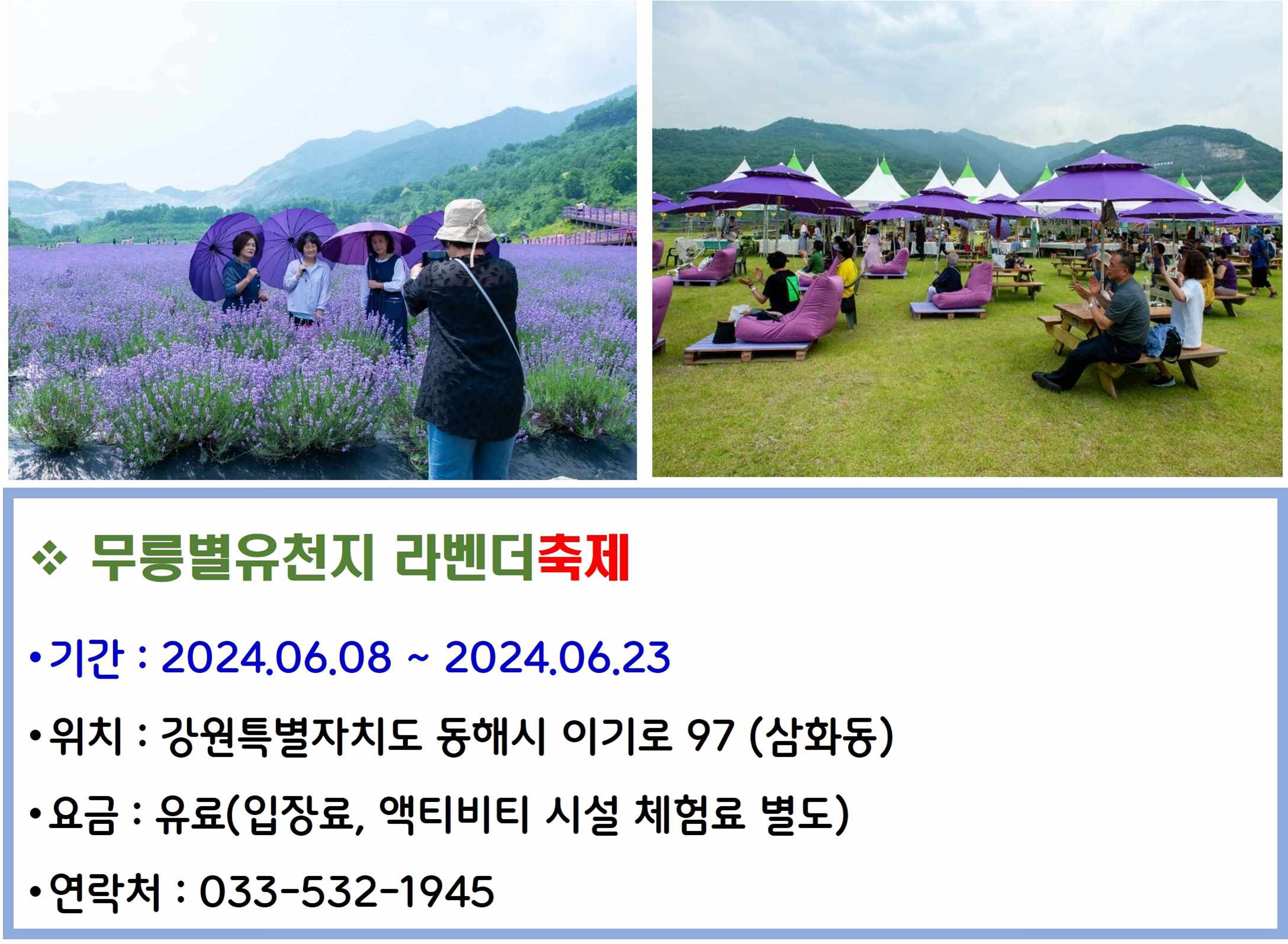 무릉별유천지 라벤더축제