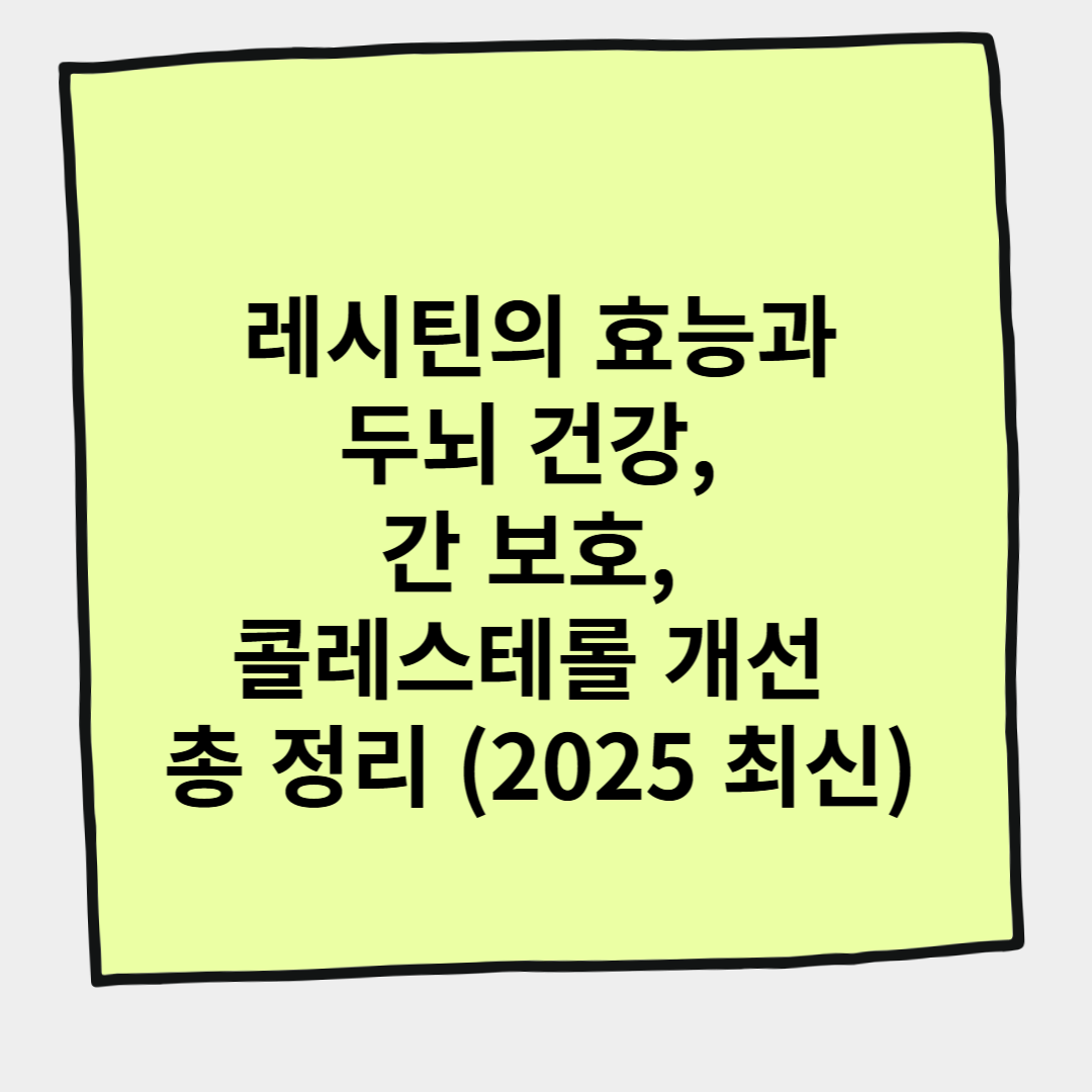 레시틴의 효능과 두뇌 건강, 간 보호, 콜레스테롤 개선 총 정리 (2025 최신)