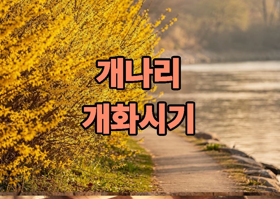 개나리 개화시기 2026