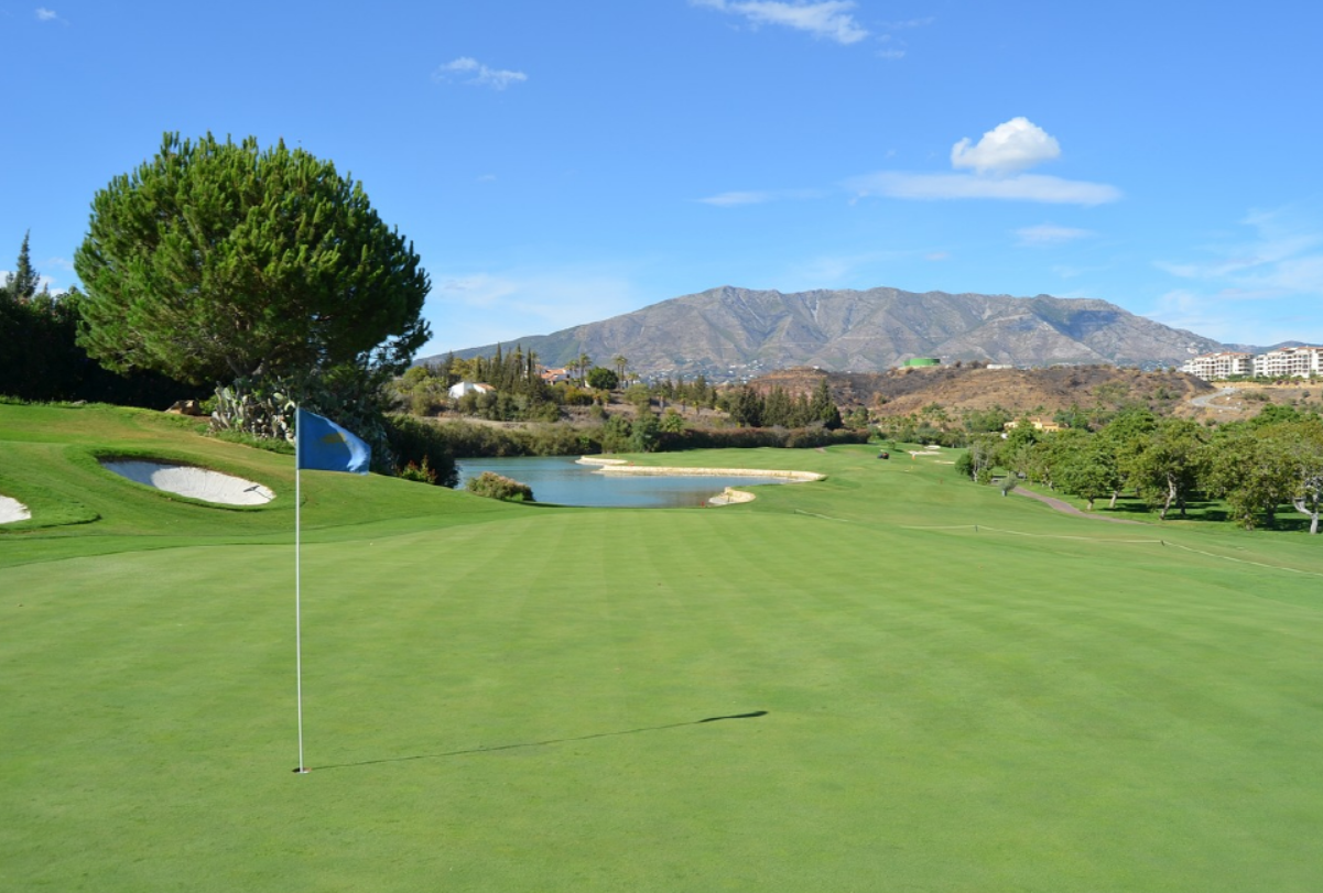 골프장 관련 사진