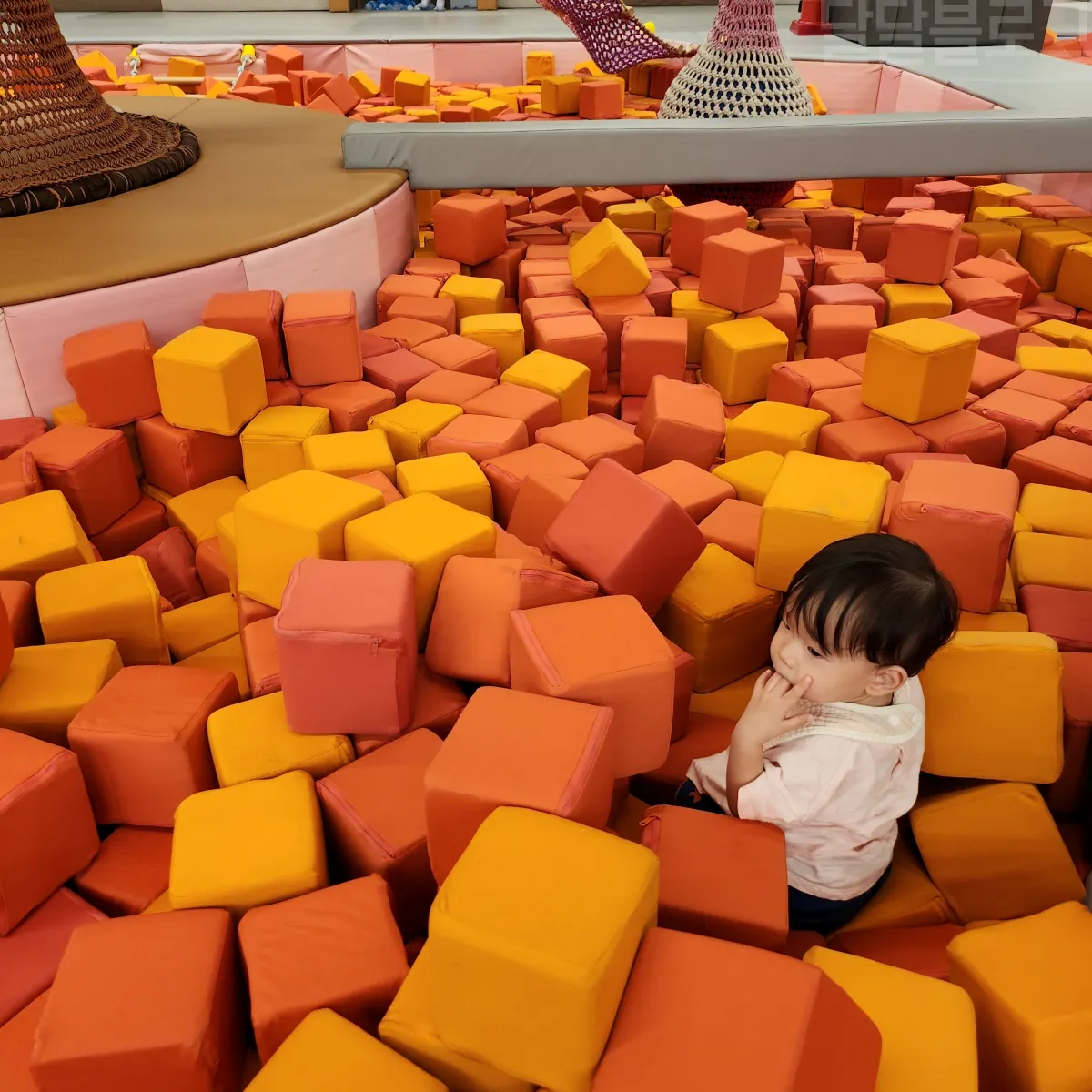 건대-키즈카페-퐁퐁플라워-내부-칼라트리존