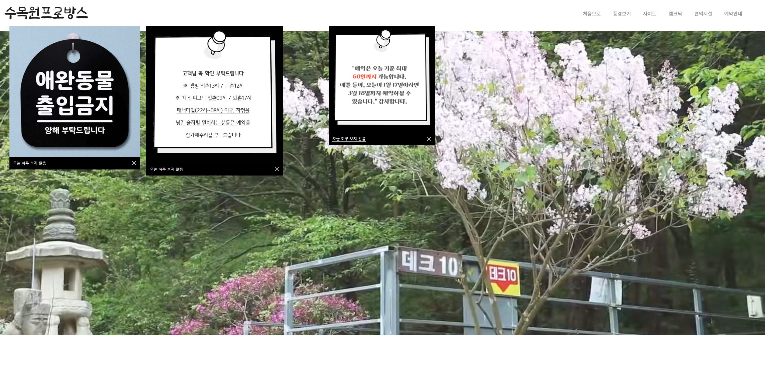 벚꽃 캠핑장 포천 수목원프로방스 캠핑장