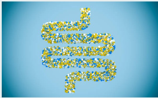 면역력 높이는 영양제 추천 BEST 5