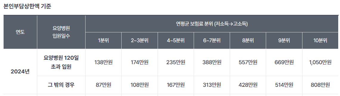 의료비 지원-본인부담상한제