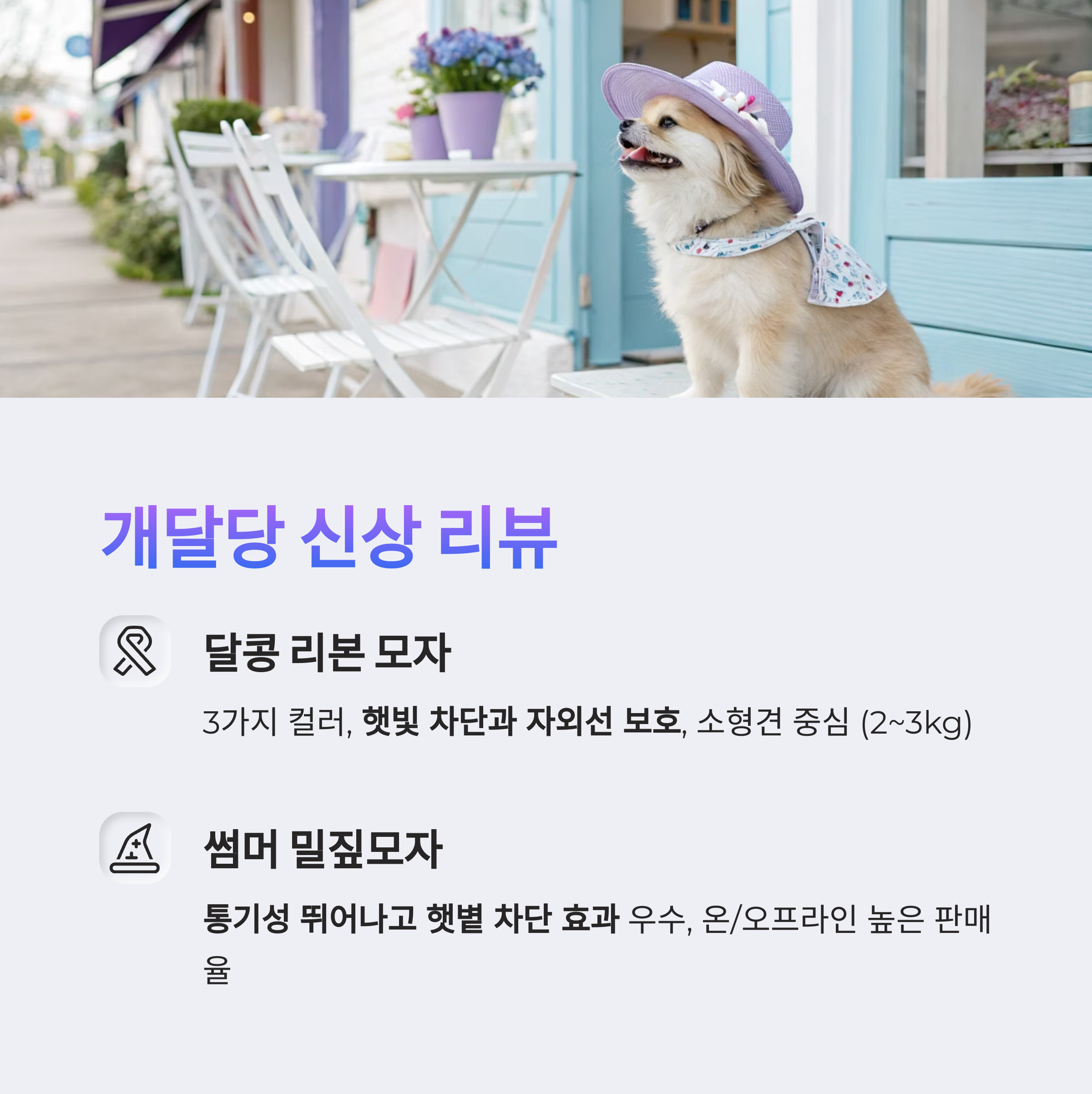 개달당 신상 리뷰