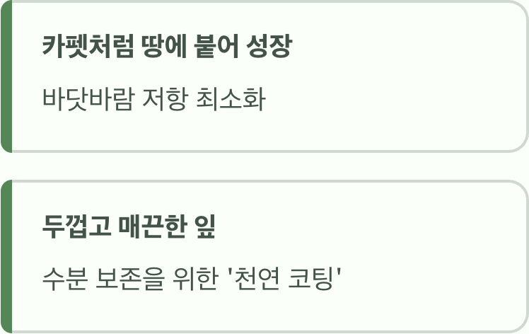 땅에 바짝 엎드리는 지혜