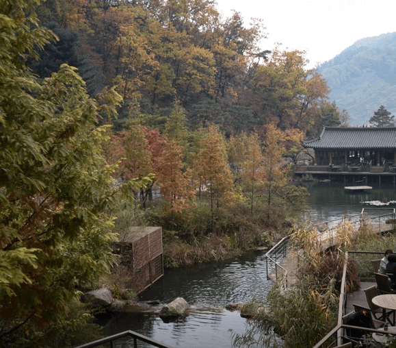 단풍축제 화담숲