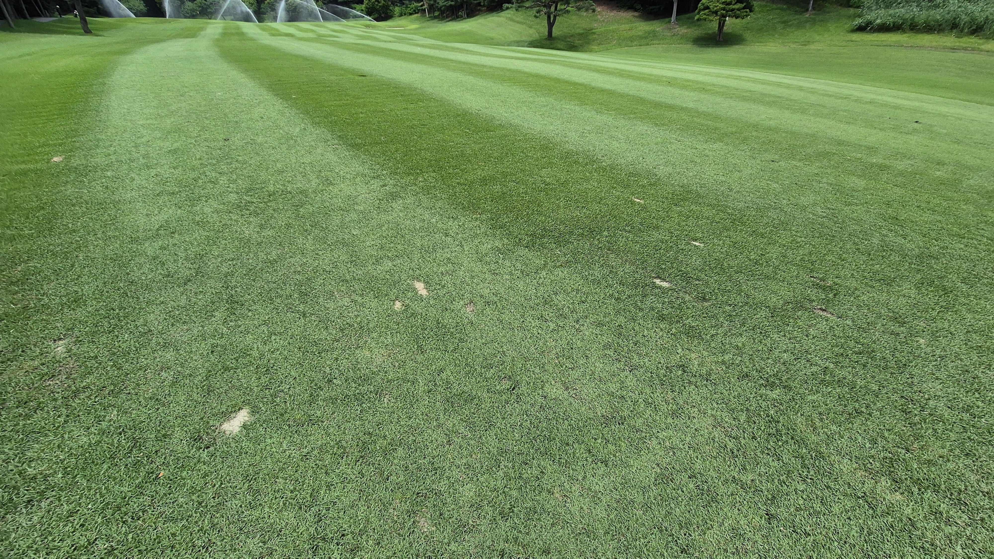 한성cc 오렌지-그린 코스 라운드 후기