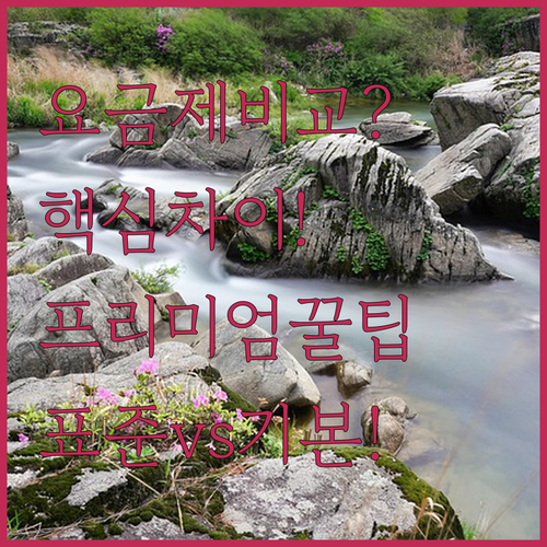 왓챠 기본 스탠다드 프리미엄 요금제 ..