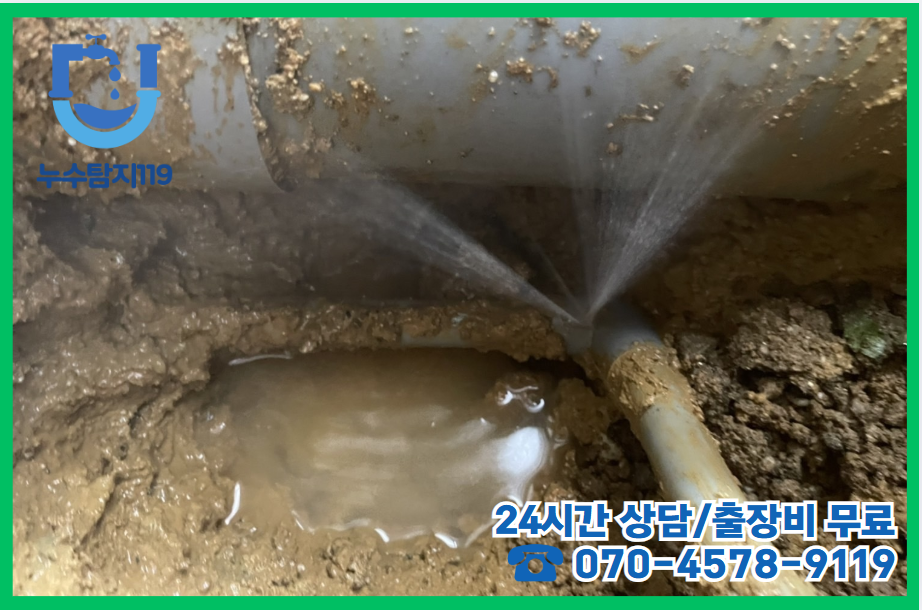 세종 종촌동 상가건물3