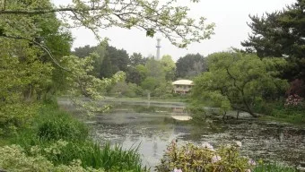 천리포 수목원 목련축제 입장료 여행코스_19