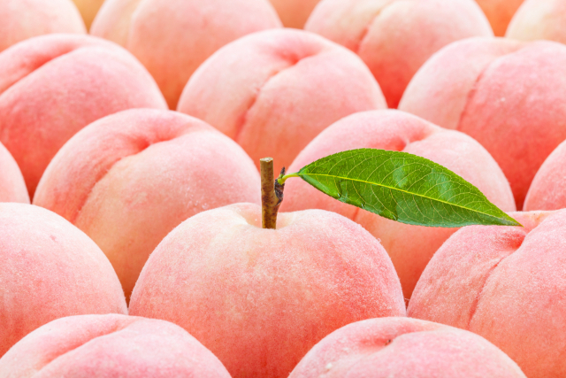 아침에 먹으면 좋은 과일 10