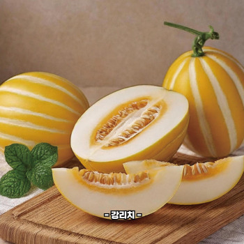 참외껍질 음식물쓰레기 인가요