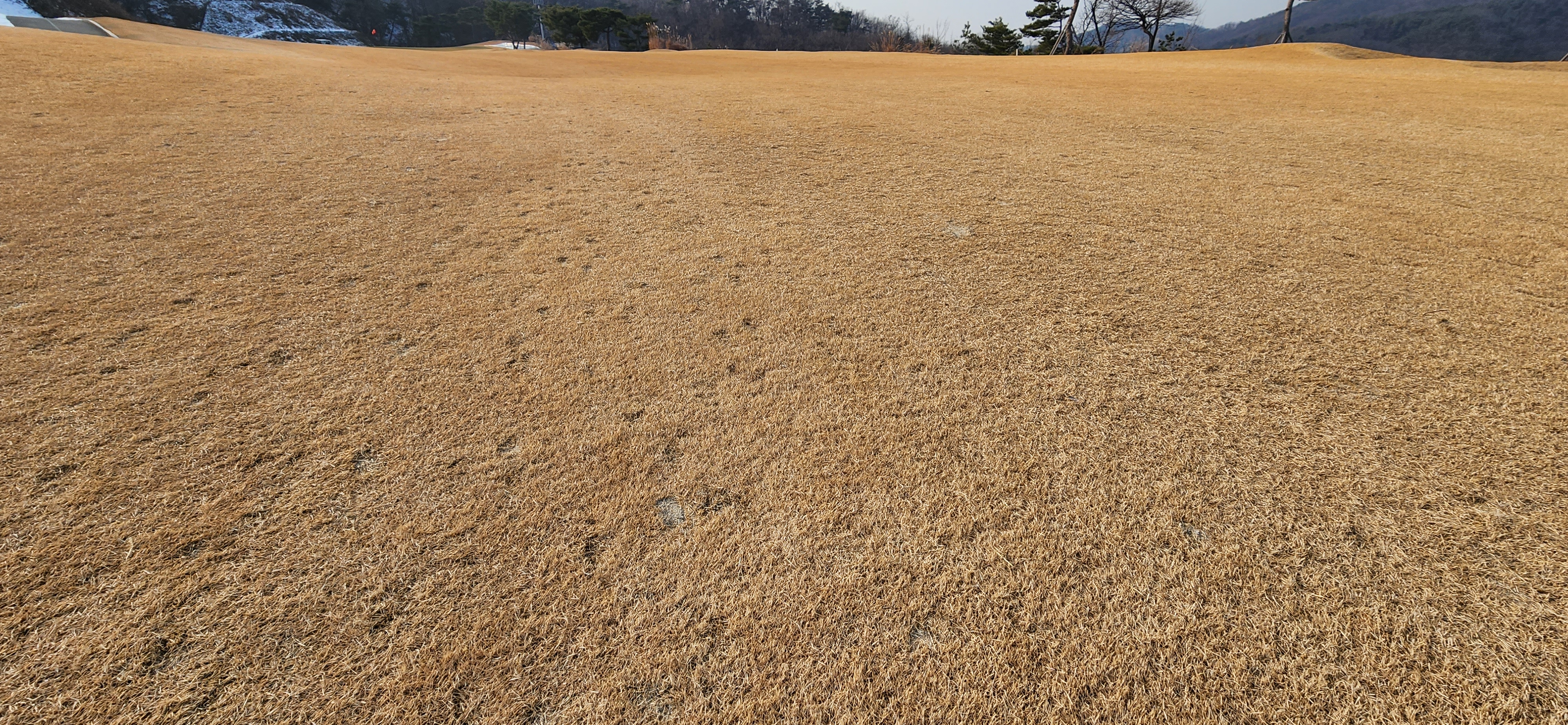 남여주gc 페어웨이