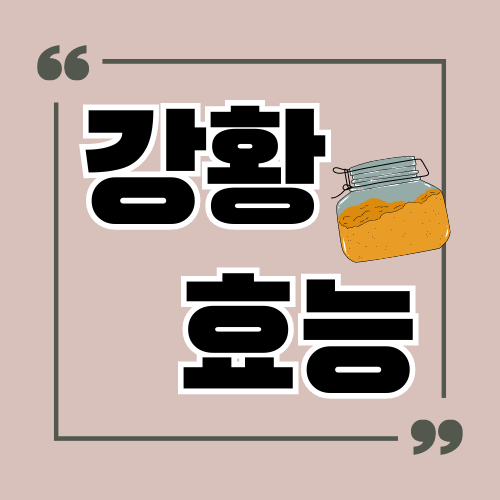 강황 효능
