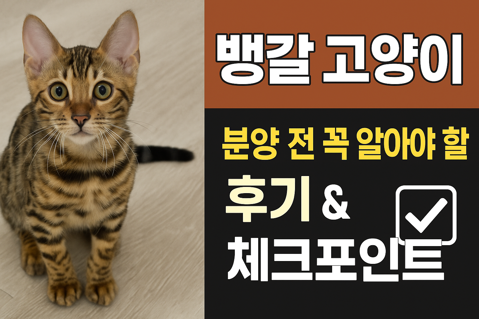 뱅갈 고양이