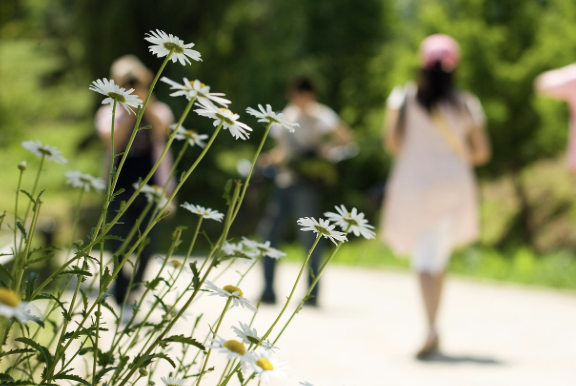 매일 걷기만 해도 몸이 달라진다: 가장 쉬운 유산소 운동의 힘