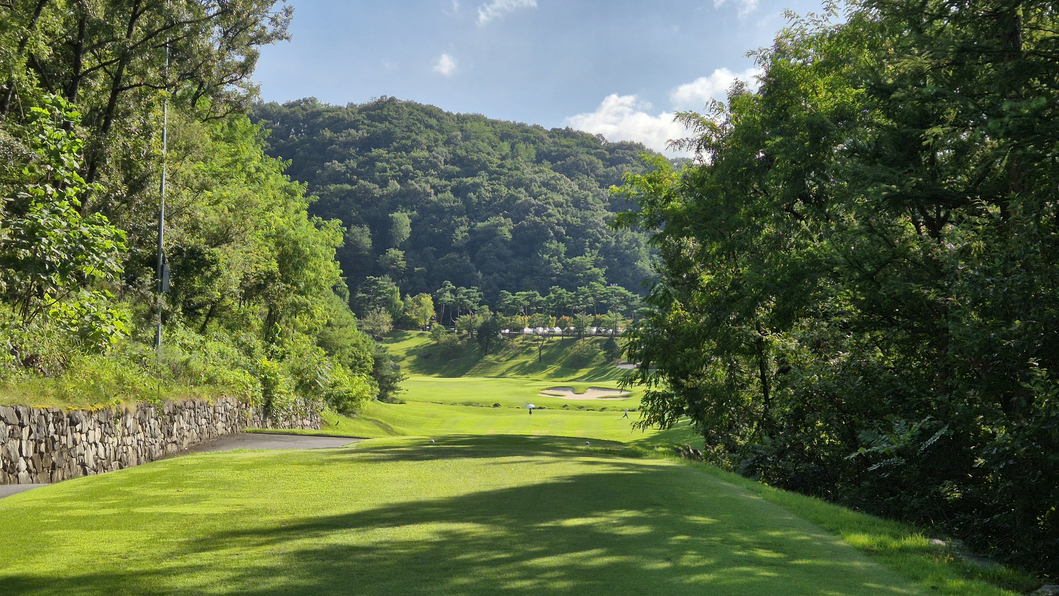 대영힐스cc 청-력 코스 사진 및 공략 정보