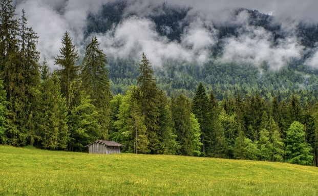 자연휴양림에 관련된 모습