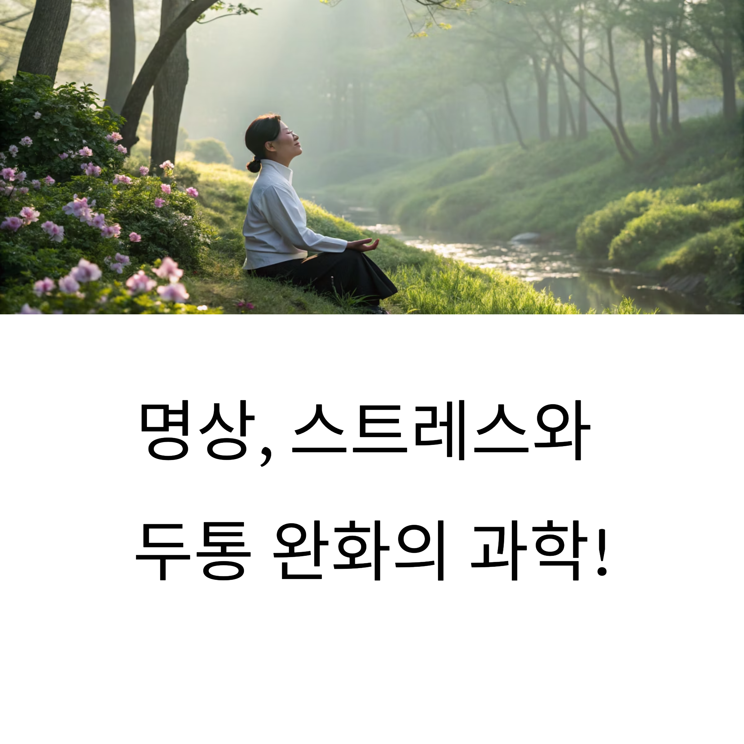 명상 스트레스와 두통 완화의 과학