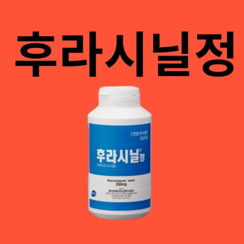 후라시닐정